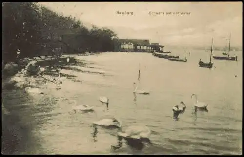 Ansichtskarte Hamburg Schwäne auf der Alster Bootsstation 1920