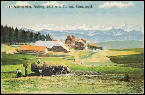 Titisee-Neustadt Feldberg und Feldbergerhof Bauern bei der Ernte 1916