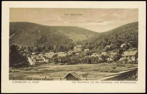 Ansichtskarte Ilsenburg (Harz) Der Buchberg 1925