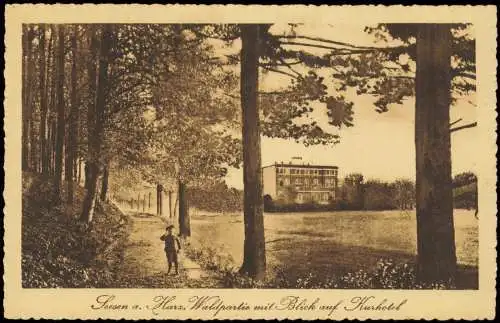 Ansichtskarte Seesen Harz. Waldpartie mit Blick auf Kurhotel 1923