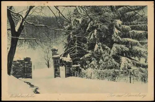 Ansichtskarte Bad Wilhelmshöhe-Kassel Tor zur Löwenburg Winter 1928