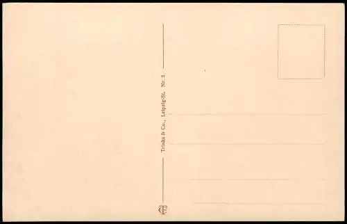 Ansichtskarte Bamberg Rathaus Brücke Stadt 1912