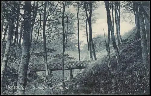 Ansichtskarte Flensburg Schlucht bei Kollund. 1913