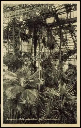 Ansichtskarte Herrenhausen-Hannover Palmenhaus Innenansicht 1935