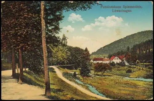 Ansichtskarte Löwenhagen-Niemetal Pensionshaus Spiessmühle 1913