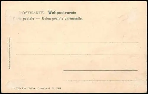 Ansichtskarte Dresden Scherzkarte - tiefster Wasserstand 1904