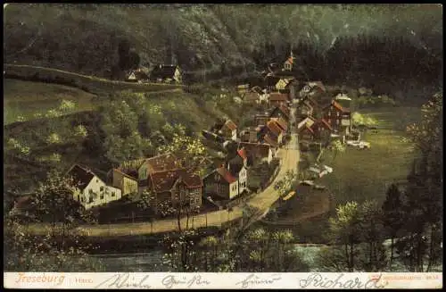 Ansichtskarte Treseburg Straßenpartie - Künstlerkarte 1904