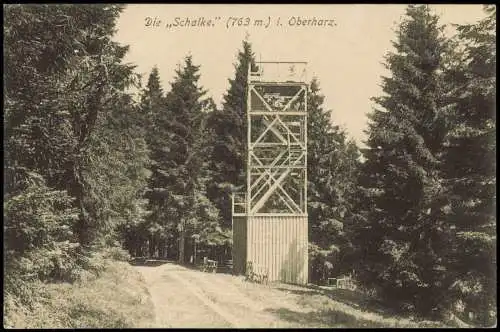 Ansichtskarte Clausthal-Zellerfeld Die Schalke im Oberharz. Aussichtsturm 1913