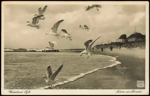 Ansichtskarte Westerland-Sylt Möwen am Strande 1931