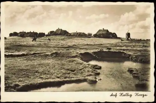 Ansichtskarte Hallig Hooge Dorfpartie mit Windmühle Nordsee 1932