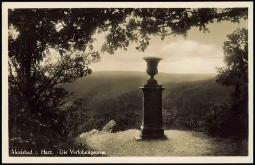 Ansichtskarte Alexisbad Harzgerode Die Verlobungsurne. Stimmungsbild 1941  Harz