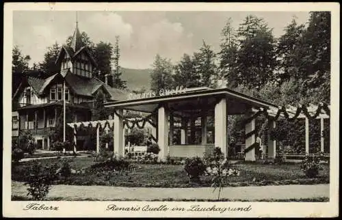 Ansichtskarte Tabarz/Thüringer Wald Renaris Quelle im Lauchagrund 1938