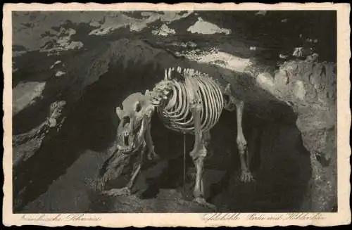 Pottenstein Teufelshöhle Fränkische Schweiz Partie mit Höhlenbär 1928