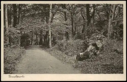 Ansichtskarte .Niedersachsen Urwaldpartie 1932  gel. Stempel Bad Zwischenahn