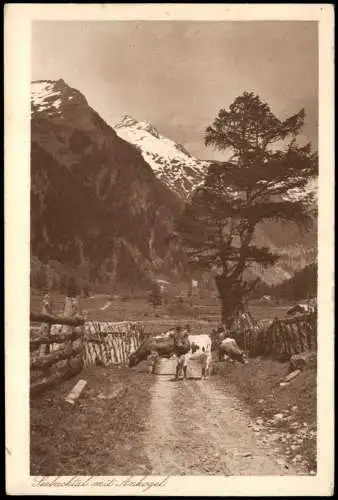 Ansichtskarte Kärnten Seebachtal mit Ankogel Kühe 1928