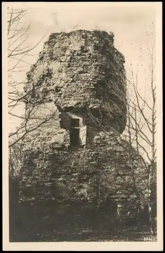 Mainz Institut für Völkerpädagogik Drususstein auf der Zitadelle 1932