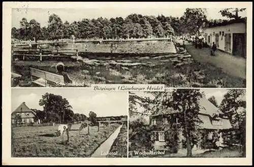 Ansichtskarte Bispingen Luhetal Wacholderhof Schwimmbad 3 Bild 1953