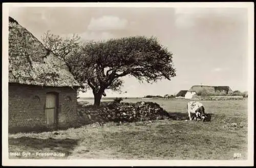 Ansichtskarte Insel Sylt Friesenhäuser Kühe - Fotokarte 1955