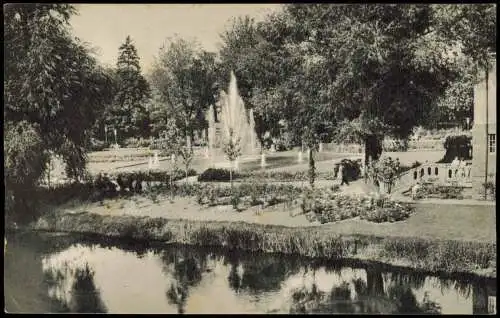 Ansichtskarte Bad Kissingen Partie im Rosengarten 1965