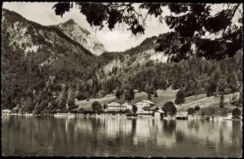 Ansichtskarte Kochel am See Walchensee (Teilansicht) Berg-Panorama 1959