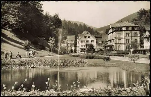 Ansichtskarte Bad Rippoldsau-Schapbach Partie am Luitgardstift 1955