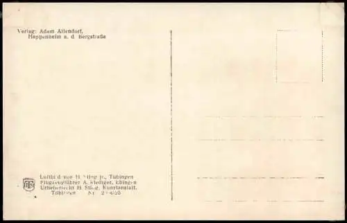 Ansichtskarte Heppenheim an der Bergstraße Luftbild Fliegeraufnahme 1930