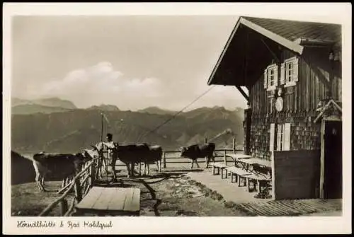 Ansichtskarte Bad Kohlgrub Hörndlhütte Bauer mit Kühen 1940