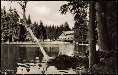 Ansichtskarte Bayerisch Eisenstein Arbersee und Seehaus 1958