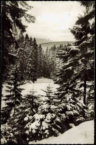 Ansichtskarte Clausthal-Zellerfeld Waldpartie im Winter 1964