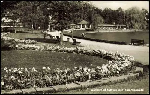 Ansichtskarte Bad Wiessee Pflanzen-Beet a.d. Kur-Promenade 1970