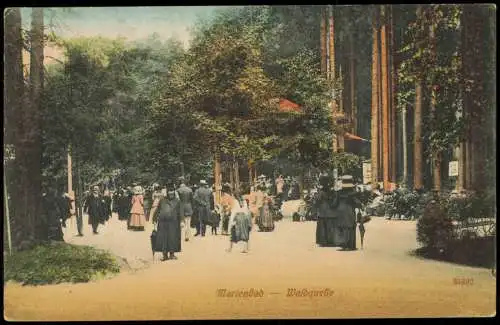 Postcard Marienbad Mariánské Lázně Waldquelle belebt 1911