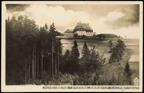 Altenberg (Erzgebirge) Sanatorium "Raupennest" 1929 Walter Hahn:6826