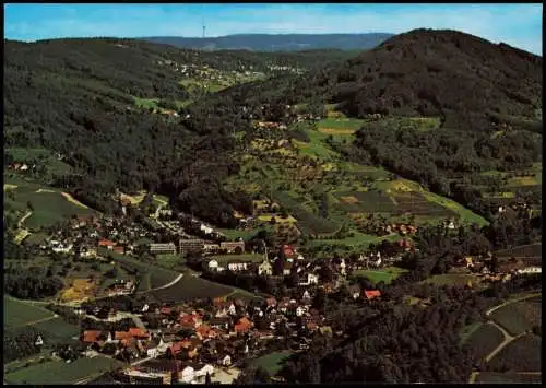 Ansichtskarte Sasbachwalden Luftbild Gesamtansicht v. Flugzeug aus 1990