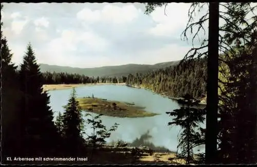 Ansichtskarte Bayerisch Eisenstein Kleiner Arbersee Bayer. Wald 1960