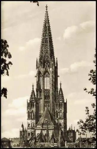 Ansichtskarte Freiburg im Breisgau Münster (Gebäude-Außenansicht) 1960