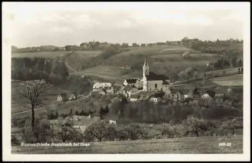 Ansichtskarte Nestelbach b. Graz Stadtpartie 1963