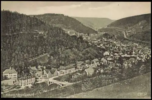 Ansichtskarte Calw Höhere Handelsschule - Stadtblick 1910
