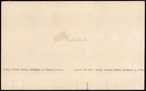 Ansichtskarte Neubulach Ruine Waldeck-Neubulach 1915