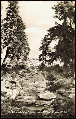 Finsterau Die Himmelsleiter zum Lusen 1373m Bayerischer Wald 1962