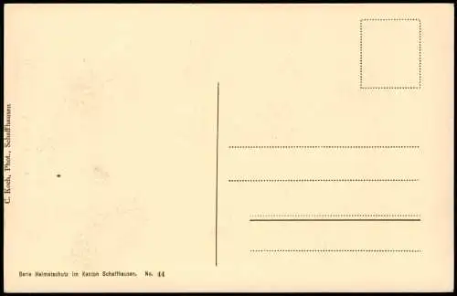 Ansichtskarte Stein am Rhein Oberes Tor Pulverturm - Wappen 1914