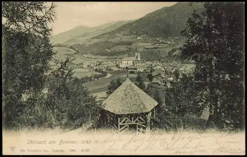 Ansichtskarte Steinach (Brenner) Pavillon und Stadt 1906