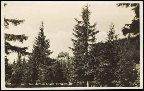 Postcard Przichowitz Rosslerbaude Rösslarova 1932