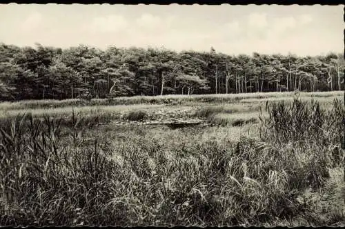 Ansichtskarte Sahlenburg-Cuxhaven Am Finkenmoor 1964