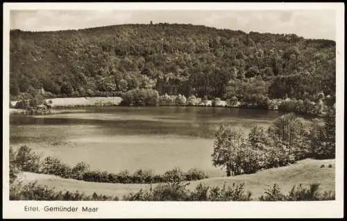 Ansichtskarte Daun Eifel Eifel. Gemünder Maar - Fotokarte 1949