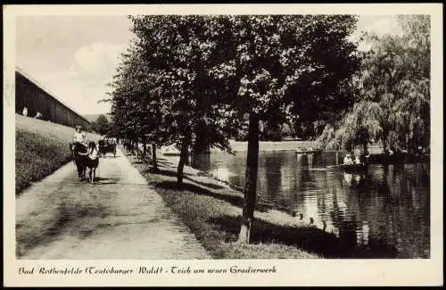 Ansichtskarte Bad Rothenfelde Mädchen auf Pferd Gradierwerk am Teich 1960