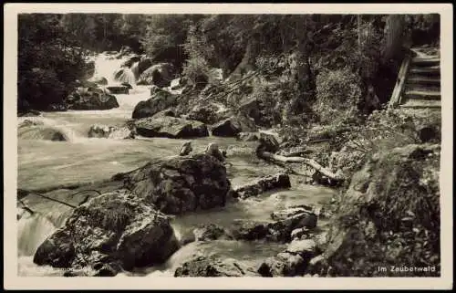 Ansichtskarte .Bayern Bayern (Allgemein) Im Zauberwald 1952