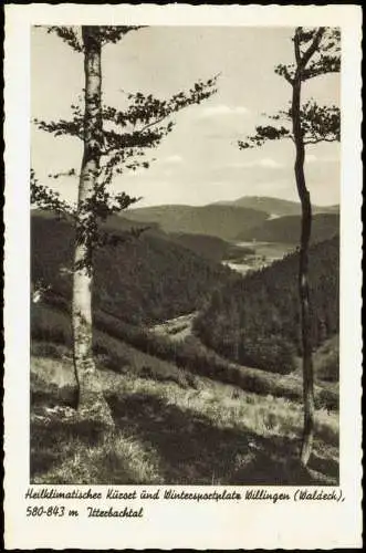 Ansichtskarte Willingen (Upland) Itterbachtal 1962