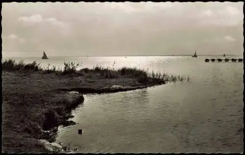 Ansichtskarte Lemförde Dümmer / Dümmersee - Segelboote 1957