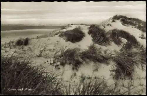 Ansichtskarte Juist Dünen und Meer - Fotokarte 1967