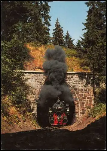 Dampflokomotive Lok 995902 ex NWE 12 der Ausfahrt Tunnel Harz 1988